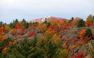 Silver Peak